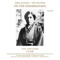 On The Dhammapada, Vol. 16 - Evil and Good