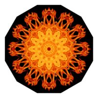 Feuerblume 01